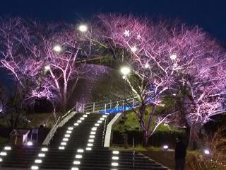 牛岐城趾公園の写真