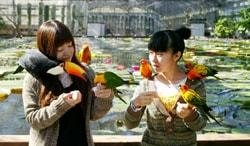 掛川花鳥園の写真