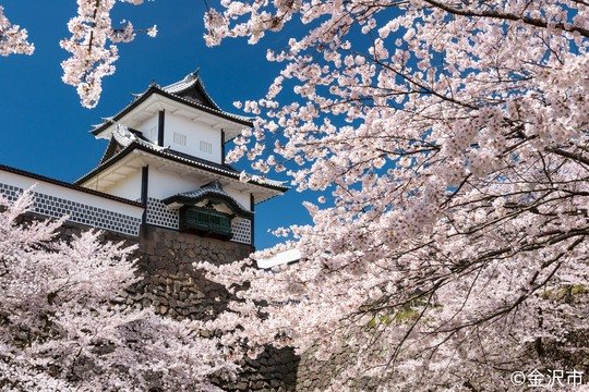 金沢城・石川門の写真