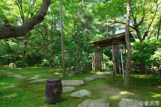 西田家庭園玉泉園の写真