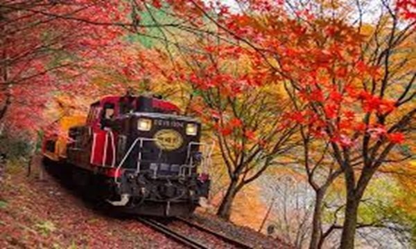 嵯峨野トロッコ列車の写真