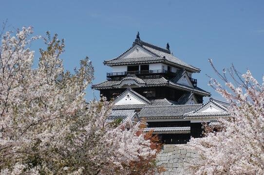 松山城の写真
