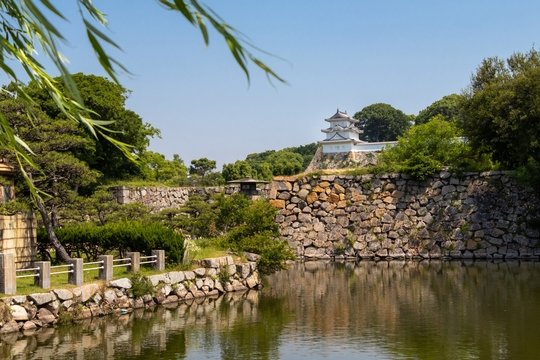 明石公園の写真