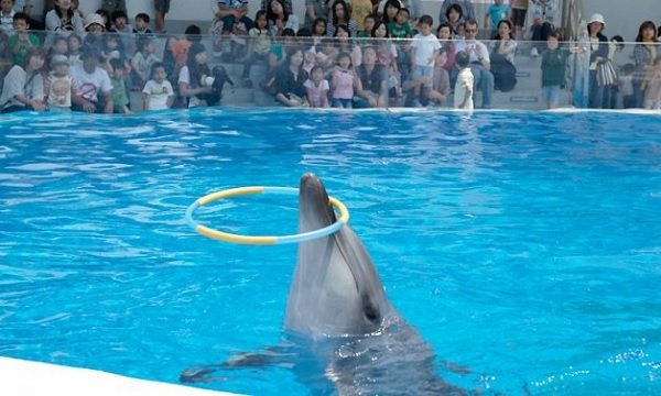 九十九島水族館 海きららの写真