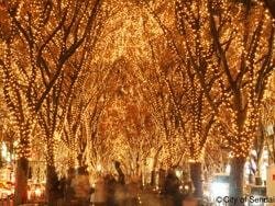 SENDAI光のページェント（定禅寺通り・12月）の写真