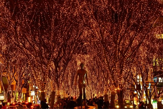 SENDAI光のページェントの写真