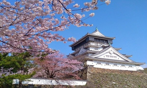小倉城の写真