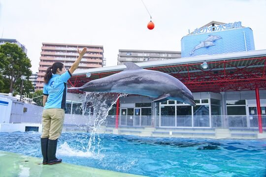 しながわ水族館の写真