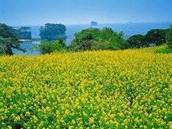 浦戸諸島の写真
