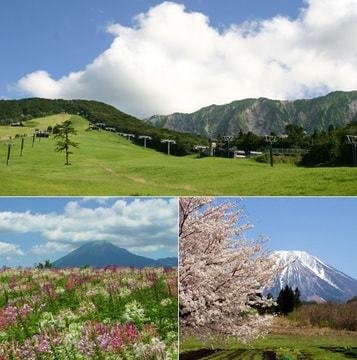 国立公園 大山の写真